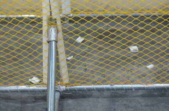 �T�F���o�ڿۼ�